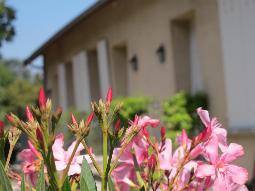 Les Communs Du Manoir Écully Quarto foto