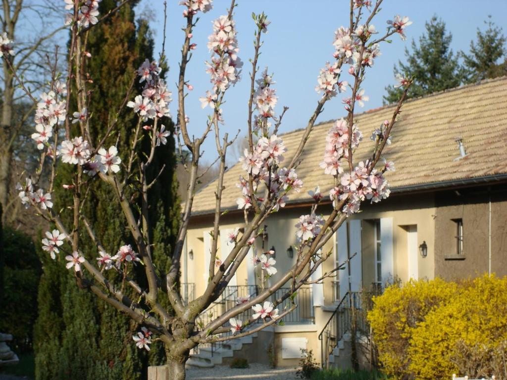 Les Communs Du Manoir Écully Exterior foto