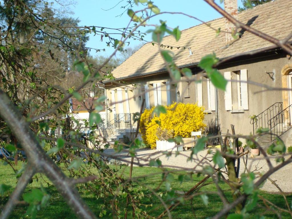 Les Communs Du Manoir Écully Exterior foto