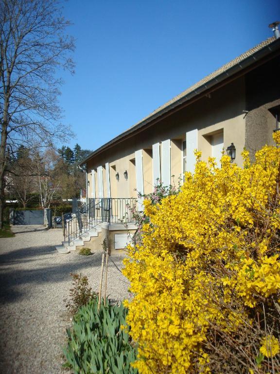 Les Communs Du Manoir Écully Exterior foto