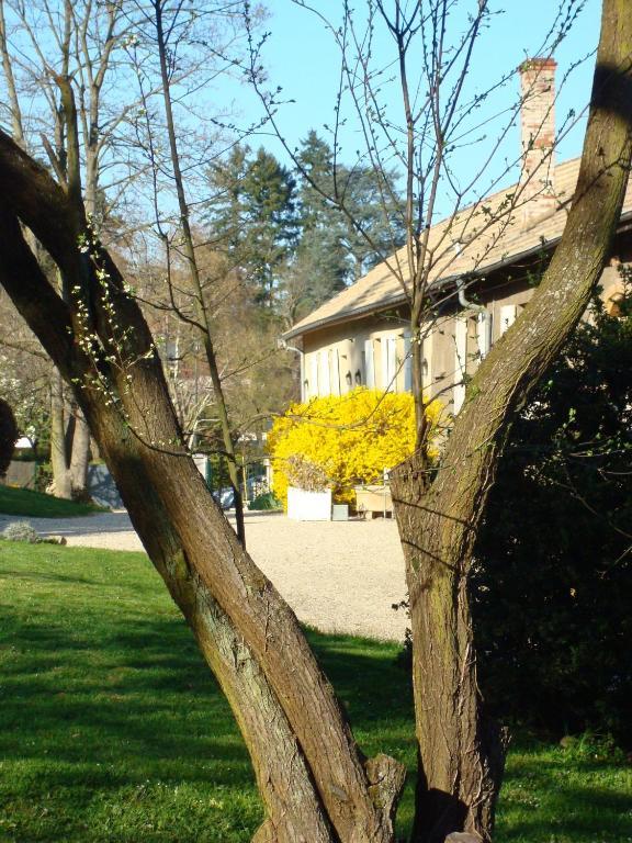 Les Communs Du Manoir Écully Exterior foto